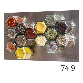 De 14 met RVS: 14 magnetische kruidenpotjes met RVS plaat
